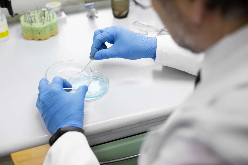 proteínas alternativas