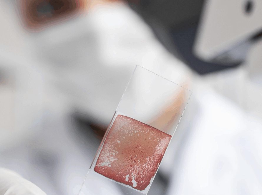 Lab
